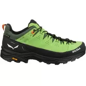 Salewa Alp Trainer 2 GTX Hiking Shoe